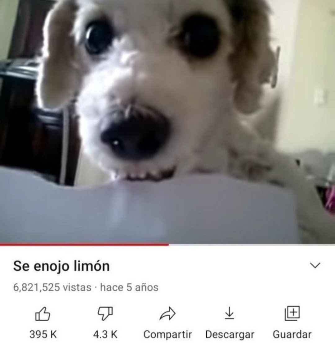 no entiendo esa gente q nunca se enoja yo literalmente todos los días soy este