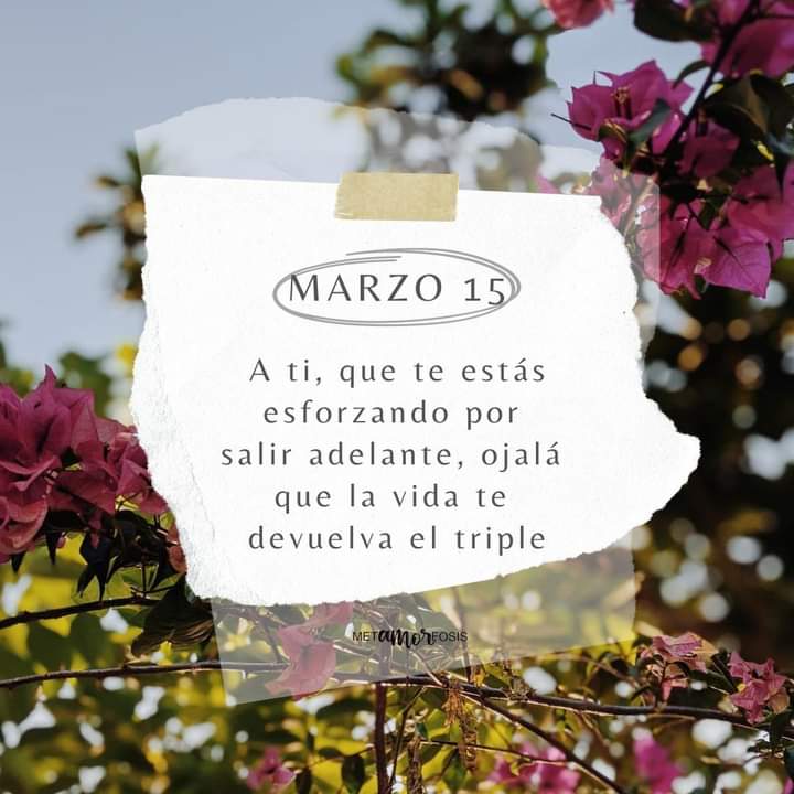 Buenas tardes 🌻