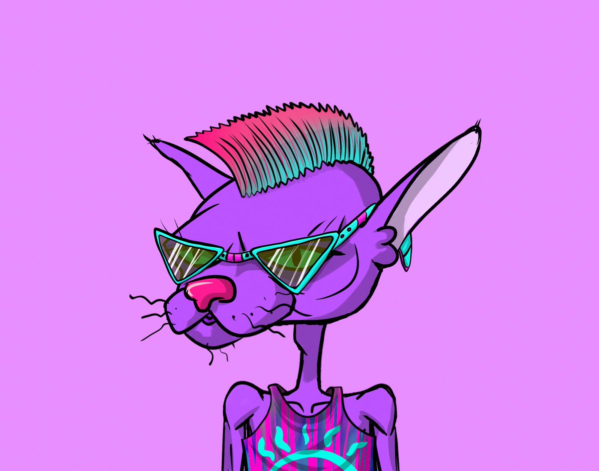 Brother Cats - Unsuccessful Experiments tweet media