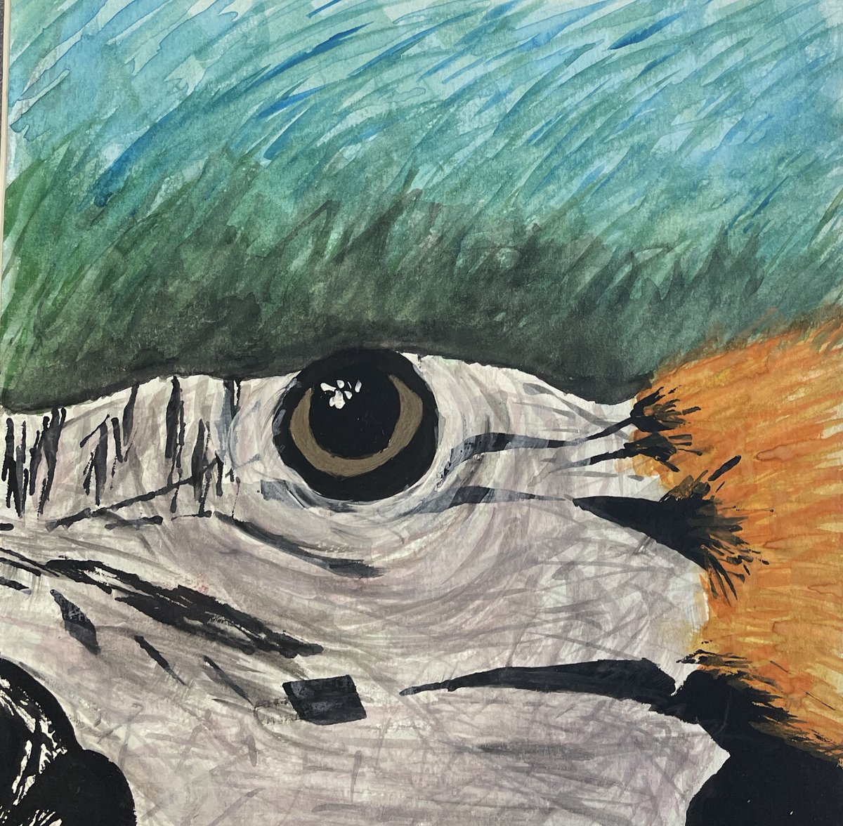 Year 10 <a href="/RedmoorAcademy/">Redmoor Academy</a>