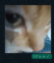 battlescvrrs's tweet image. 