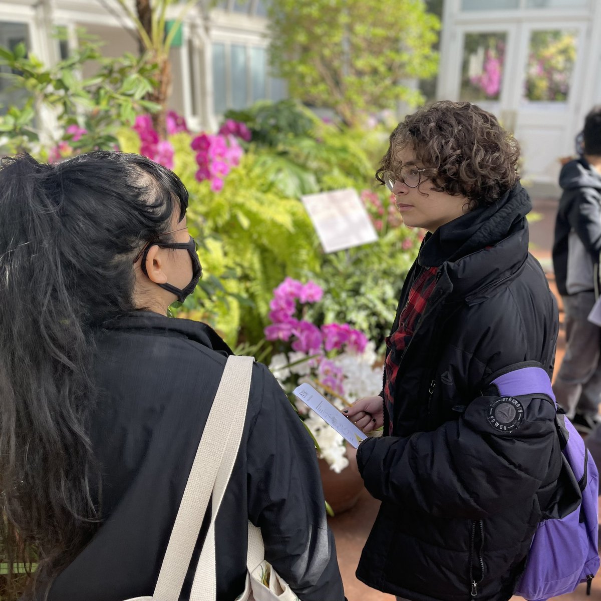 MS80Hawks's tweet photo. Just some Hawks. Hanging in the garden. Good things happen when kids come to school everyday. #AttendanceMatters .. Learning in and out of the classroom 🌿🌺🌸🌹🌱 @NYBG #MS80 #MS80x #D10 #SoarToExcellence https://t.co/oJ3sPanvYc