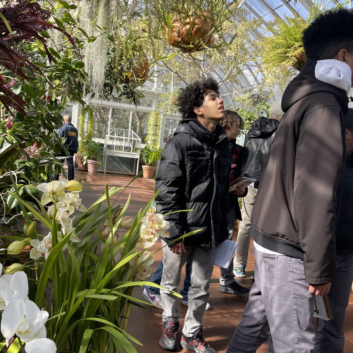 Just some Hawks. Hanging in the garden. Good things happen when kids come to school everyday. #AttendanceMatters .. Learning in and out of the classroom 🌿🌺🌸🌹🌱 <a href="/NYBG/">New York Botanical Garden</a> #MS80 #MS80x #D10 #SoarToExcellence