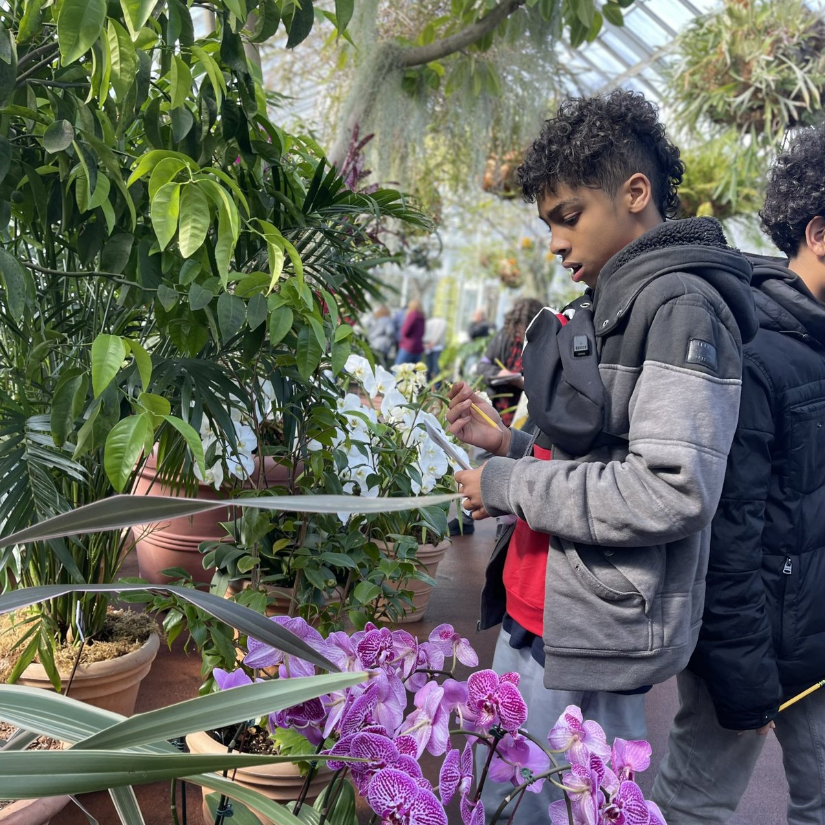 MS80Hawks's tweet photo. Just some Hawks. Hanging in the garden. Good things happen when kids come to school everyday. #AttendanceMatters .. Learning in and out of the classroom 🌿🌺🌸🌹🌱 @NYBG #MS80 #MS80x #D10 #SoarToExcellence https://t.co/oJ3sPanvYc