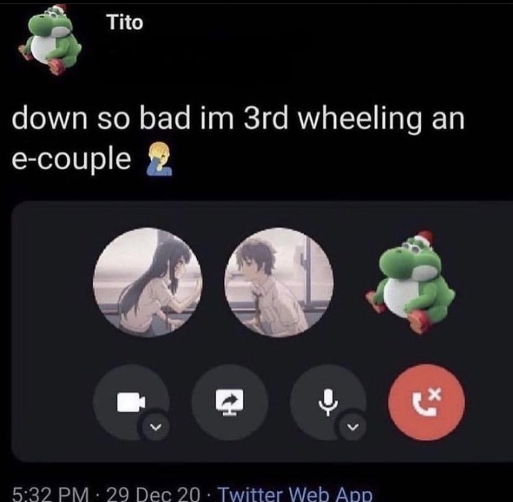 Braindead Bird App tweet media