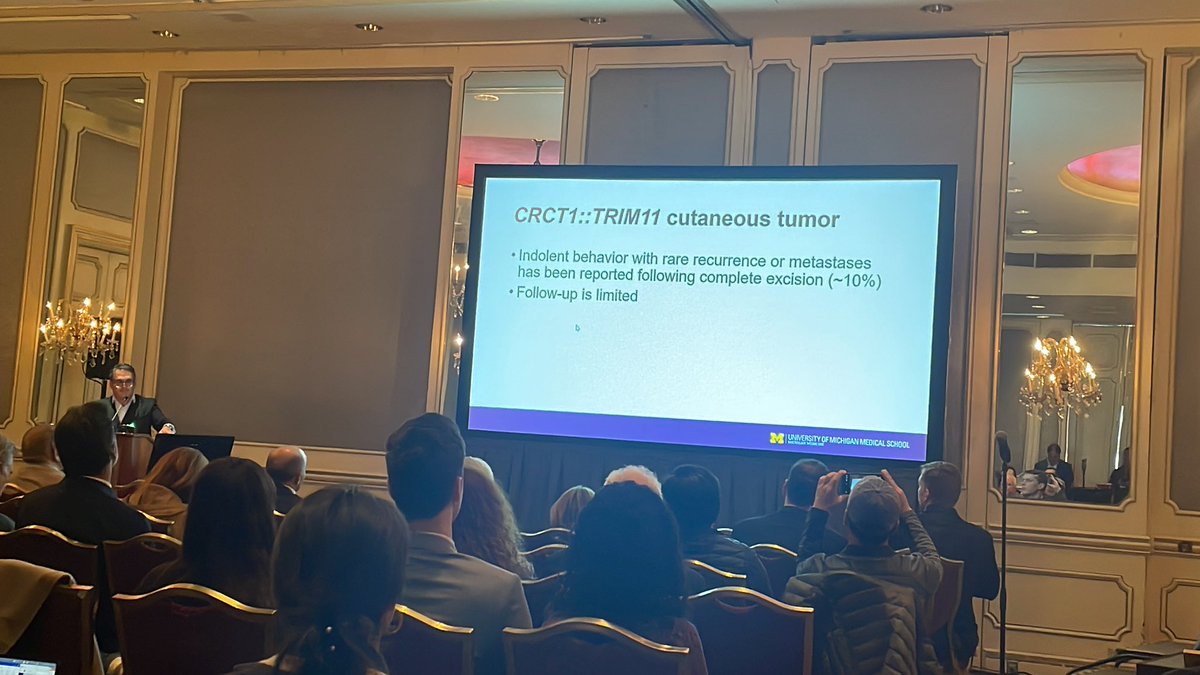 JCandidoXavier's tweet image. Learning about a new entity;
CRCT1::TRIM11 tumor

#isdp @IntSocDermpath #dermpath #dermtwitter #MedTwitter
