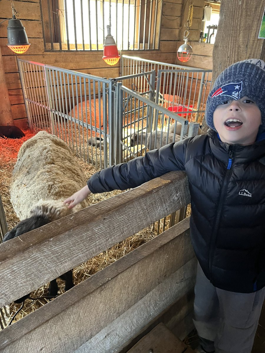 MsLenowicz3rd's tweet image. We loved getting to see and pet all of the animals!