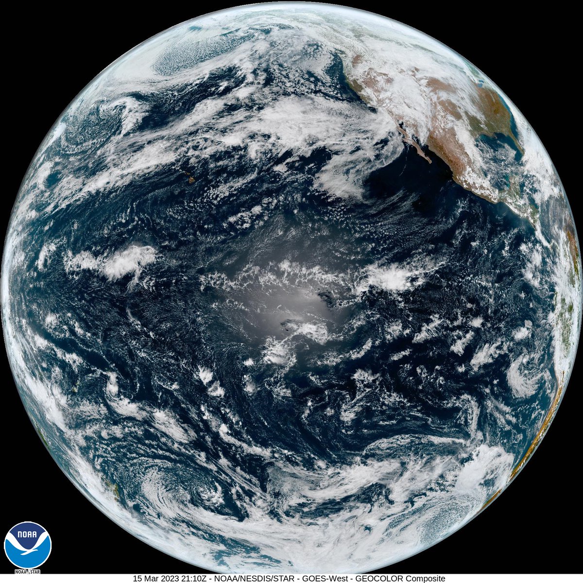 Earth Selfie Bot tweet media