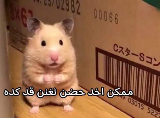 D (@d_62aiy) on Twitter photo 