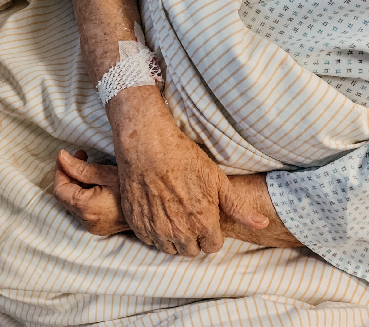 kiwi 💚, 🔮 tweet media