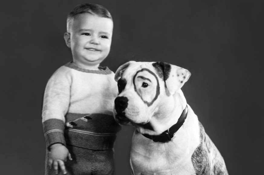 Michael Buffer tweet media