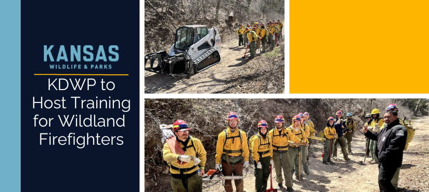 TheKDWP's tweet photo. @TheKDWP is partnering with the  Kansas Forest Service and @HutchCCNews  Fire Science Program to conduct a wildland fire training and hazardous fuels mitigation project from April 1-7, 2023. https://t.co/CVWcTqXI22 #kdwpt https://t.co/bNexsNnY3u