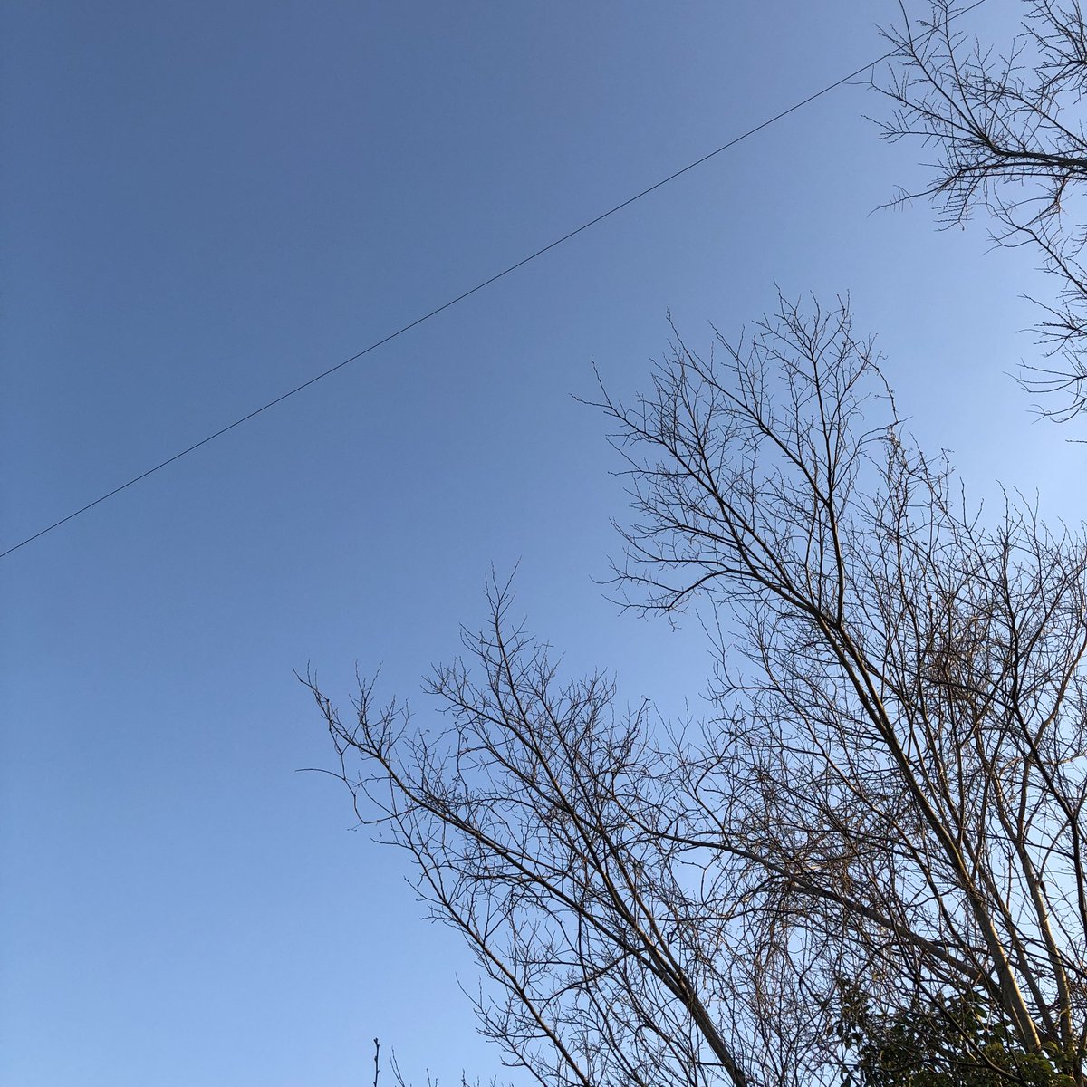 chie50220's tweet photo. #いまそら
#イマソラ
#空 https://t.co/G1JPsKB5S9
