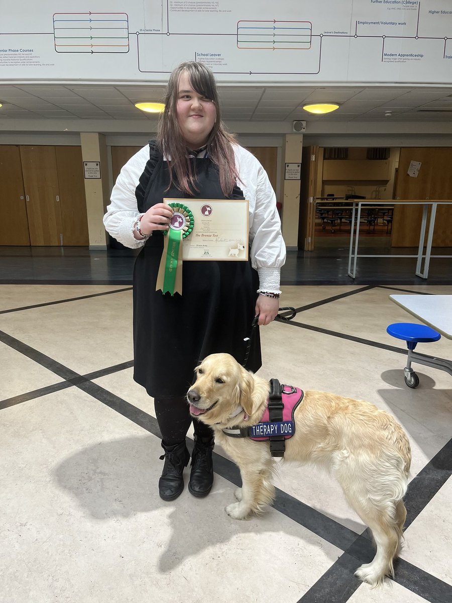 Bella the Therapy Dog tweet media