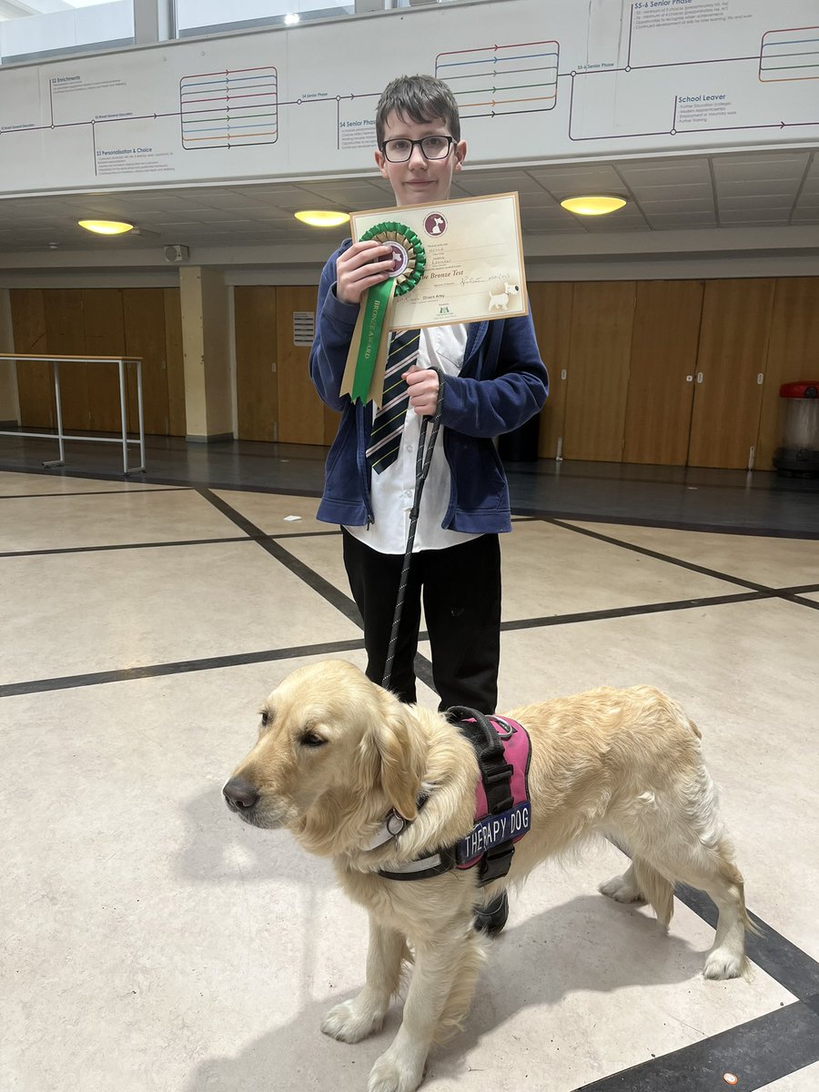 Bella the Therapy Dog tweet media