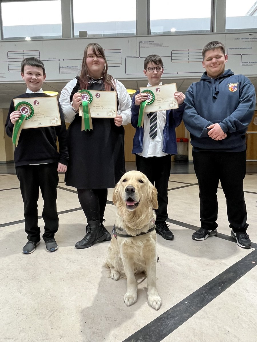 Bella the Therapy Dog tweet media