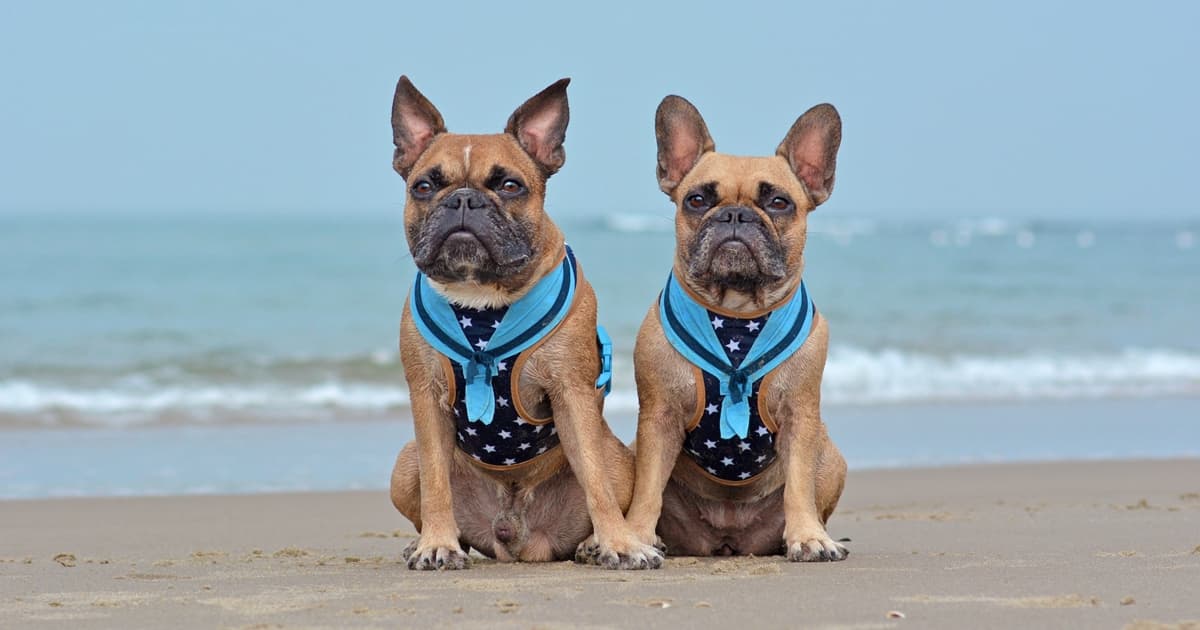 hhoiyau's tweet photo. Why You Should Be 'Cloning' Your Best Customers to Grow Your Business https://t.co/ViVgeswwlq

#MARK1051 https://t.co/DoaW4q1VR3