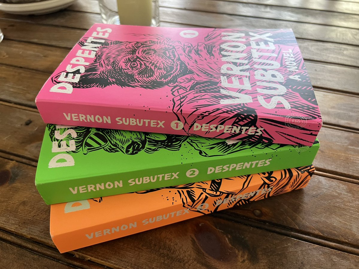 ClaireAnnaO's tweet photo. Rereading the first one so I can do the trilogy. First one as bitterly amusing as I remember #virginiedespentes #despentes #vernonsubutex https://t.co/i90ttZT5pS
