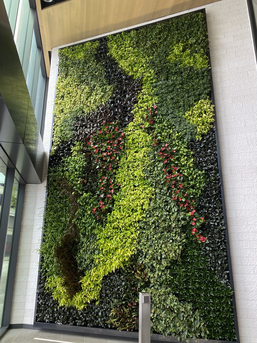 Botanical Designs tweet media