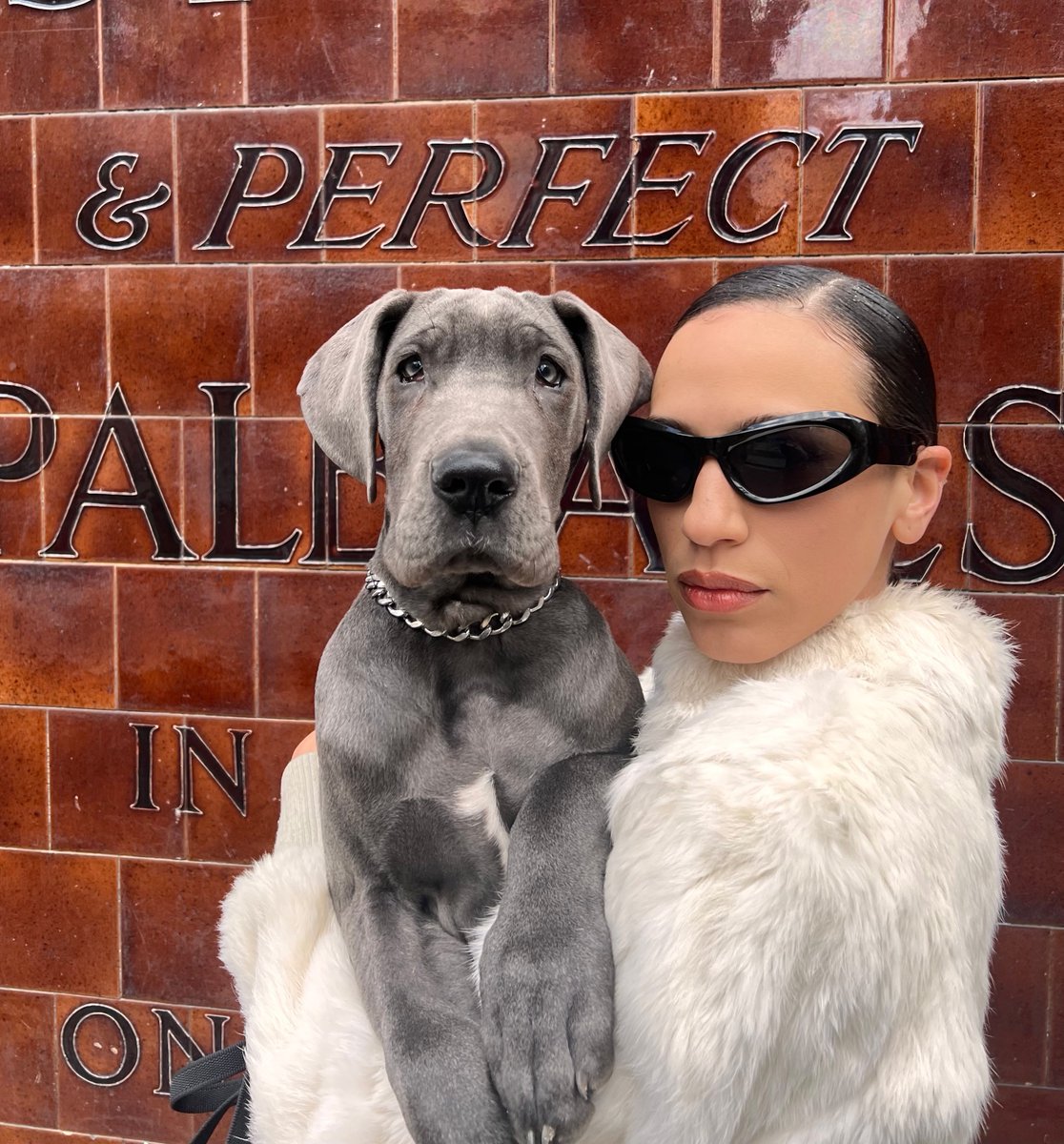 MY NEW SONG  "Hounds" is out Friday. I can't wait for this one ☆ Pre-save now: tr.ee/UuapSBZ6cr