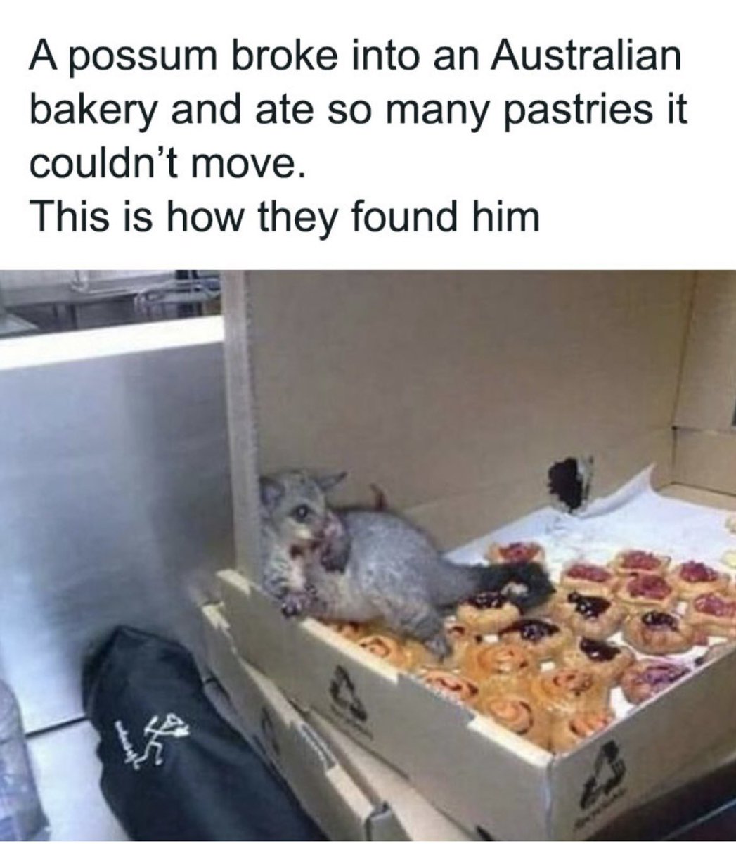 Yo <a href="/sydneyelainexo/">Sydney</a> this one of your crew?