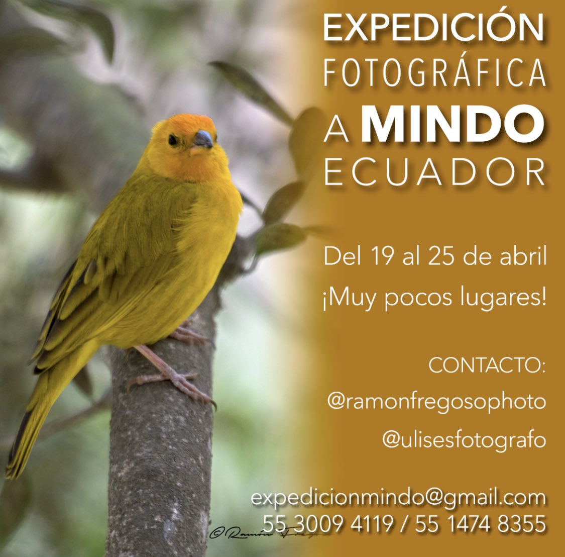 ulisesescobar's tweet photo. Acompáñanos a esta gran experiencia !! https://t.co/IyXjo0S3bs