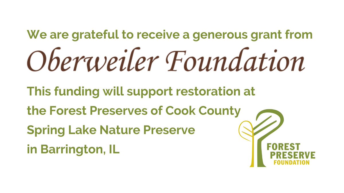 ForestPresFund's tweet photo. Great news! We received an Oberweiler Foundation grant for Spring Lake Nature Preserve. Invasive brush removal will allow native wetland vegetation to grow along the banks of Spring Creek, which will improve water infiltration &amp; decrease soil erosion into the waterway. @FPDCC https://t.co/ClIIA3AXgG
