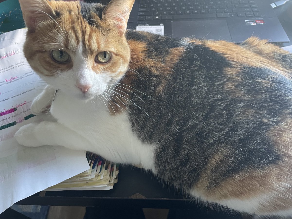 Shannon Kuznar, PhD (she/her) tweet media