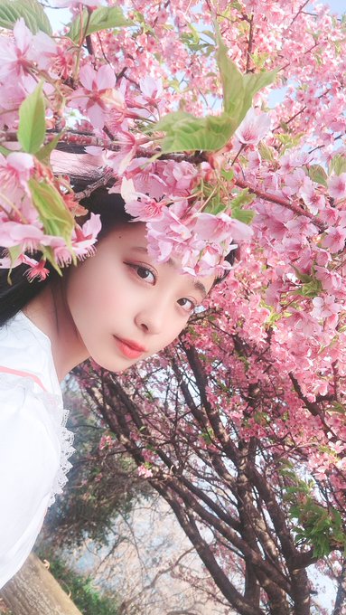 Twitterのコスプレ画像40