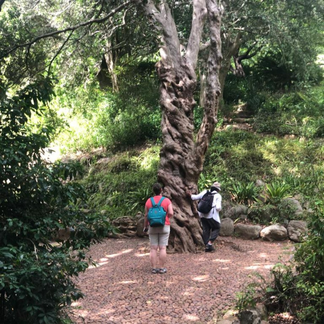 SunsetDecks's tweet image. German guests enjoying Kirstenbosch tour  included guiding and staying at @SunsetDecks 👍🍺

4A Engina Crescent Sunset Beach, Milnerton.
+2721 551 6756
info@sunsetdecks.co.za
sunsetdecks.co.za

#SunsetDecks #bedandbreakfast #guesthouse #accommodation #semiselfcatering