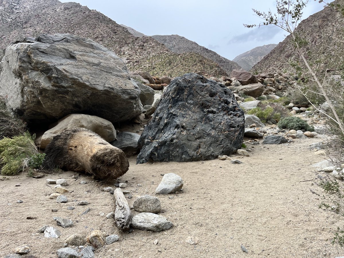 We had an AMAZING trip to Anza Borrego!!!  It was a great day with great weather and fabulous people. The students were perfect representatives of our school.  They were complemented by everyone we saw and spoke with.  Way to go Explorers!!!  #1PORTSFAN ⁦<a href="/portsprogram/">CA State Parks PORTS Program</a>⁩ ⁦