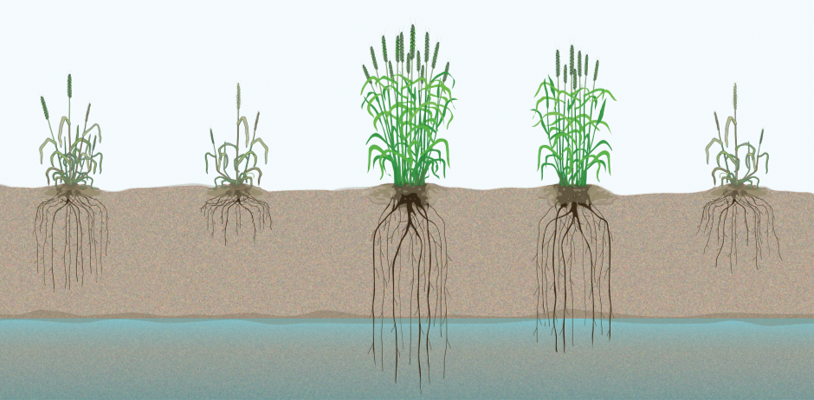 New PhD scholarship opportunity!

Enhancing Crop Resilience through Genome Editing: Overcoming Genetic Limitations
tinyurl.com/dmcbbaxa

To apply, email a cover letter &amp; CV: l.hickey@uq.edu.au