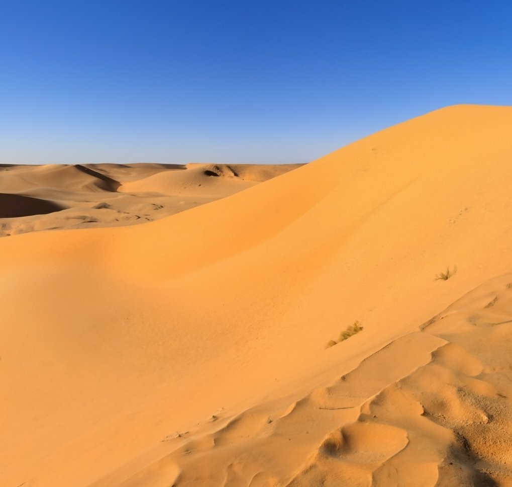 Sweet_Panda1987's tweet photo. The Sahara Desert is a vast desert located in North Africa, covering an area of approximately 3.6 million square miles (9.4 million square kilometers). It is the largest hot desert in the world, and one of the harshest environments on Earth.

#Saharadessert https://t.co/26MRqxp8op