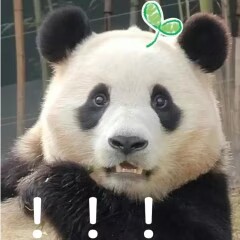 Alanna_1990's tweet photo. @NLCMbdCn61R76D3 https://t.co/bHW4Ak27dA
