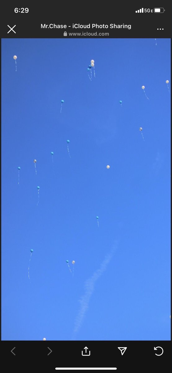 theeschoolpsyc's tweet image. A heartache I wish they never had to feel 💔 #llchase #oncealion #alwaysalion 💛🦁🧡
📸: @sayy1kk