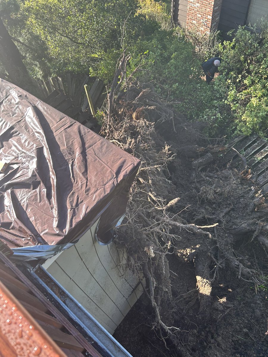 𝗠𝗮𝘁𝗵𝗲𝘄 𝗕𝗲𝗻𝗷𝗮𝗺𝗶𝗻 🇦🇺 tweet media