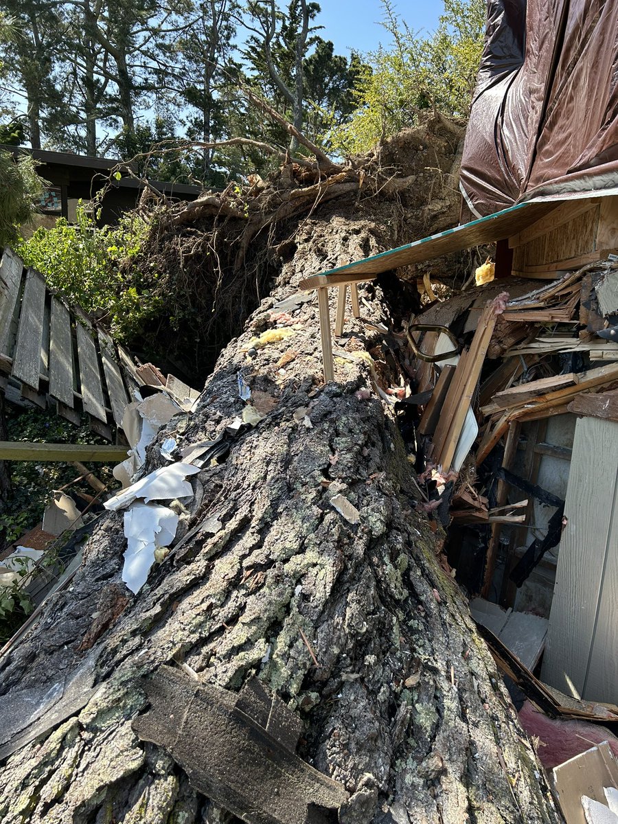 𝗠𝗮𝘁𝗵𝗲𝘄 𝗕𝗲𝗻𝗷𝗮𝗺𝗶𝗻 🇦🇺 tweet media