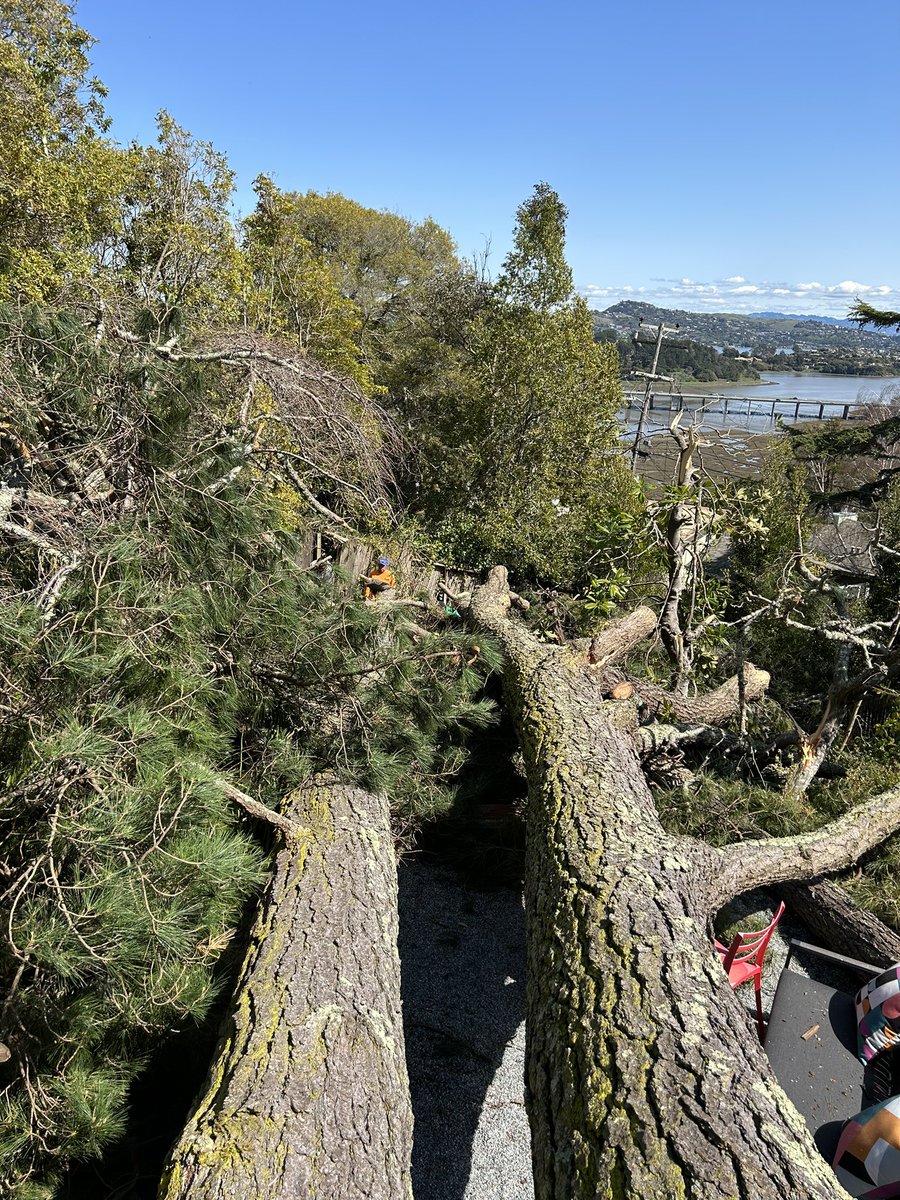 𝗠𝗮𝘁𝗵𝗲𝘄 𝗕𝗲𝗻𝗷𝗮𝗺𝗶𝗻 🇦🇺 tweet media