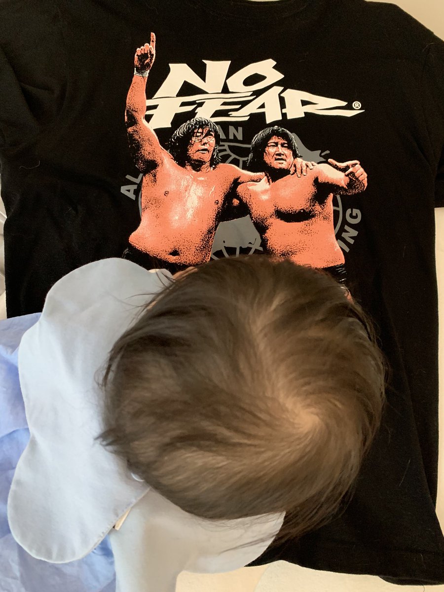 お嬢様と一緒にノーフィアー