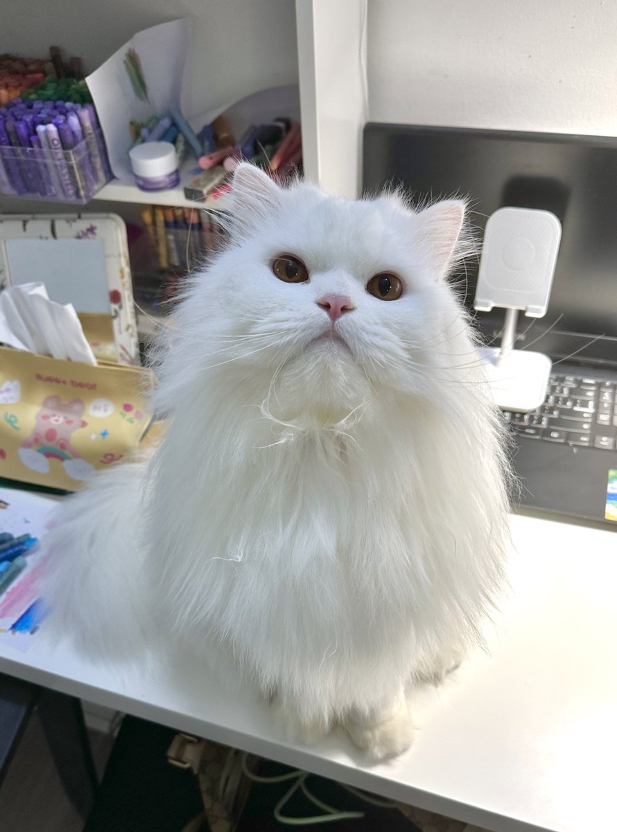 ที่ทำงานแม่ยังมะมีตำแหน่งว่างอีกเหยอ อุนก้หยักปัยทัมงานบ้างอ่ะ