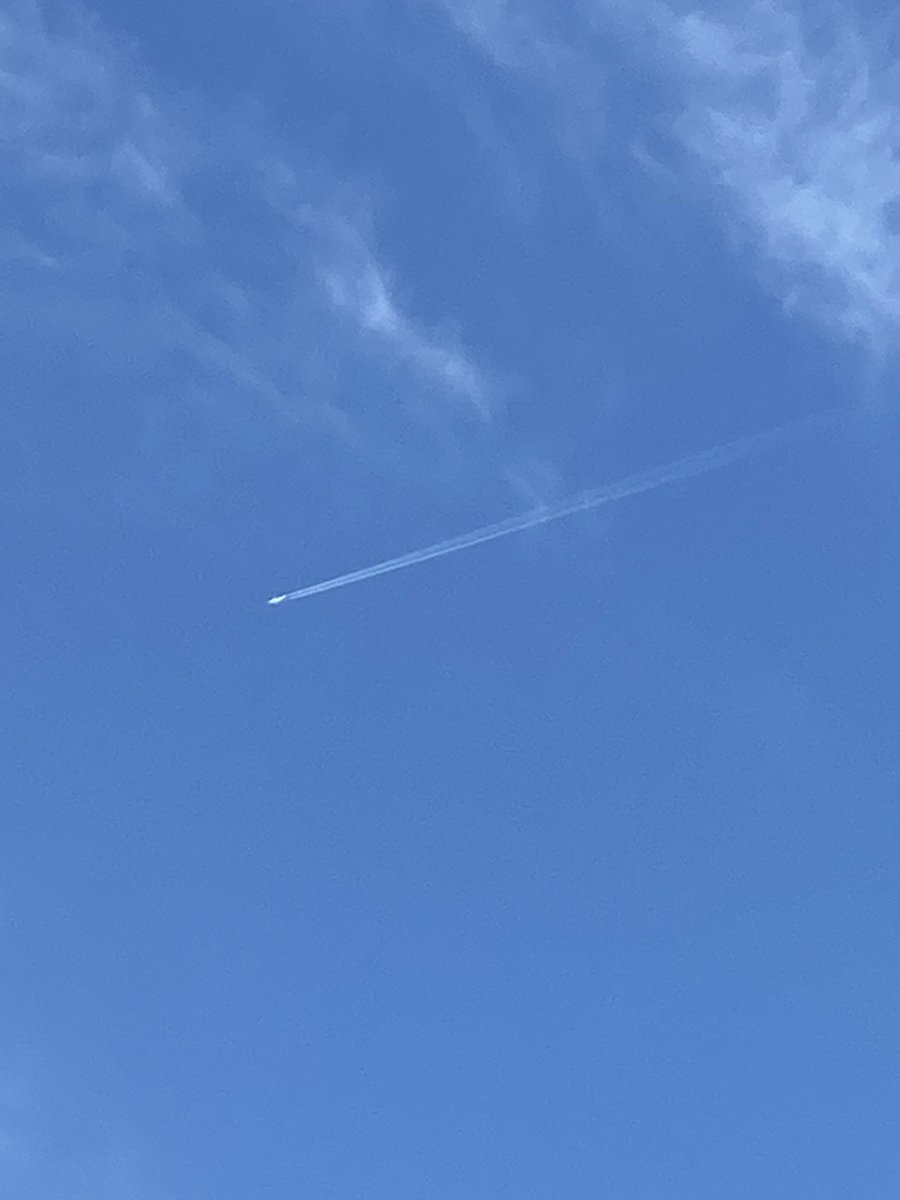 porumonv tweet media