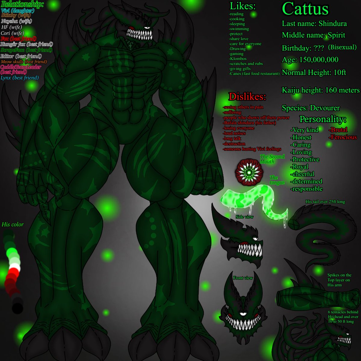 CattusDevourer5's tweet photo. Cattus ref 4.0 https://t.co/BHcNqWAfAT