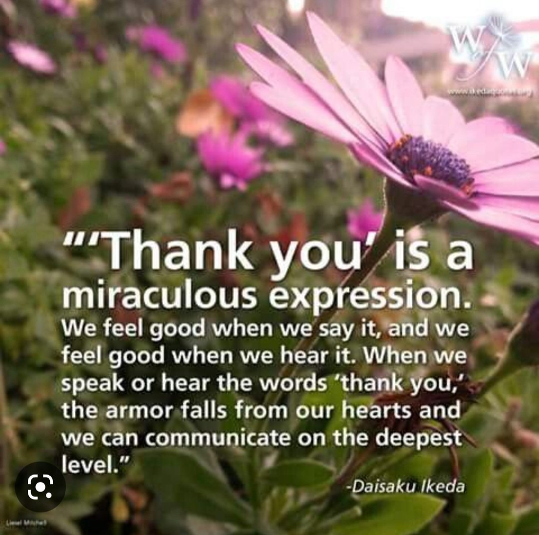 JafraDab1297's tweet image. Wordle 634 4/6
Thank you #Wordlecommunity. You&apos;ve inspired me to challenge myself and try new things. I hope you enjoy your days and know you are all wonderful. 
⬜🟨🟩⬜⬜
🟨⬜🟩⬜🟨
🟩⬜🟩🟩🟩
🟩🟩🟩🟩🟩