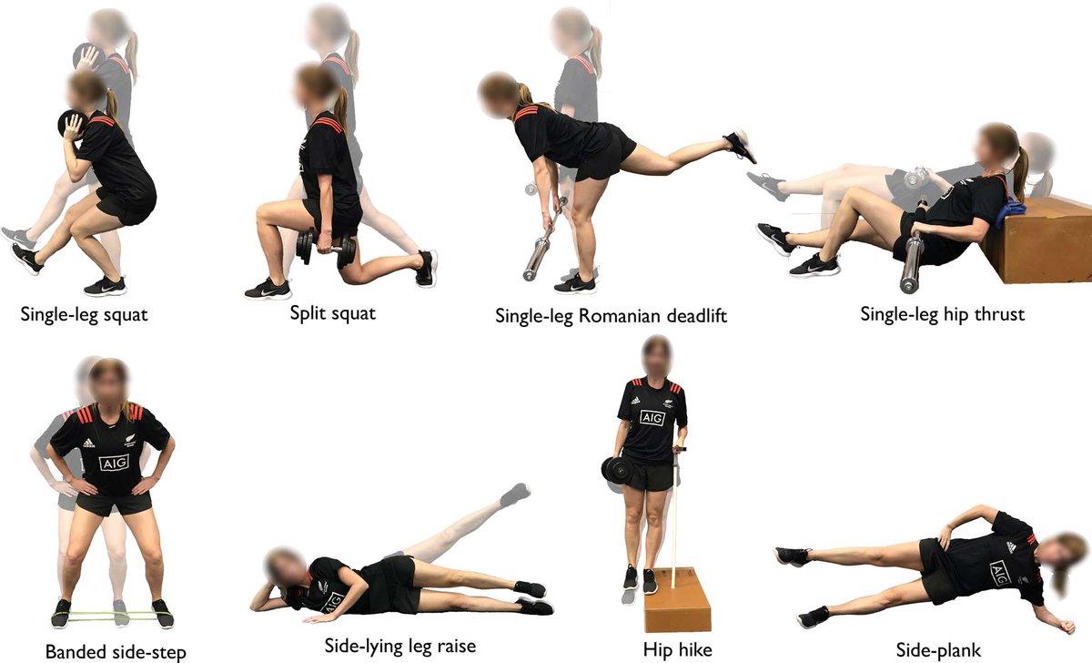 TylerCollings3's tweet photo. How are the glutes loaded during different exercises? and what are the implications for exercise selection?

Just published: EMG-informed musculoskeletal modelling of a wide range of glute-targeting exercises.
https://t.co/AOXJhVhRkD

Read on for main findings.. https://t.co/9Ji0ynmah5