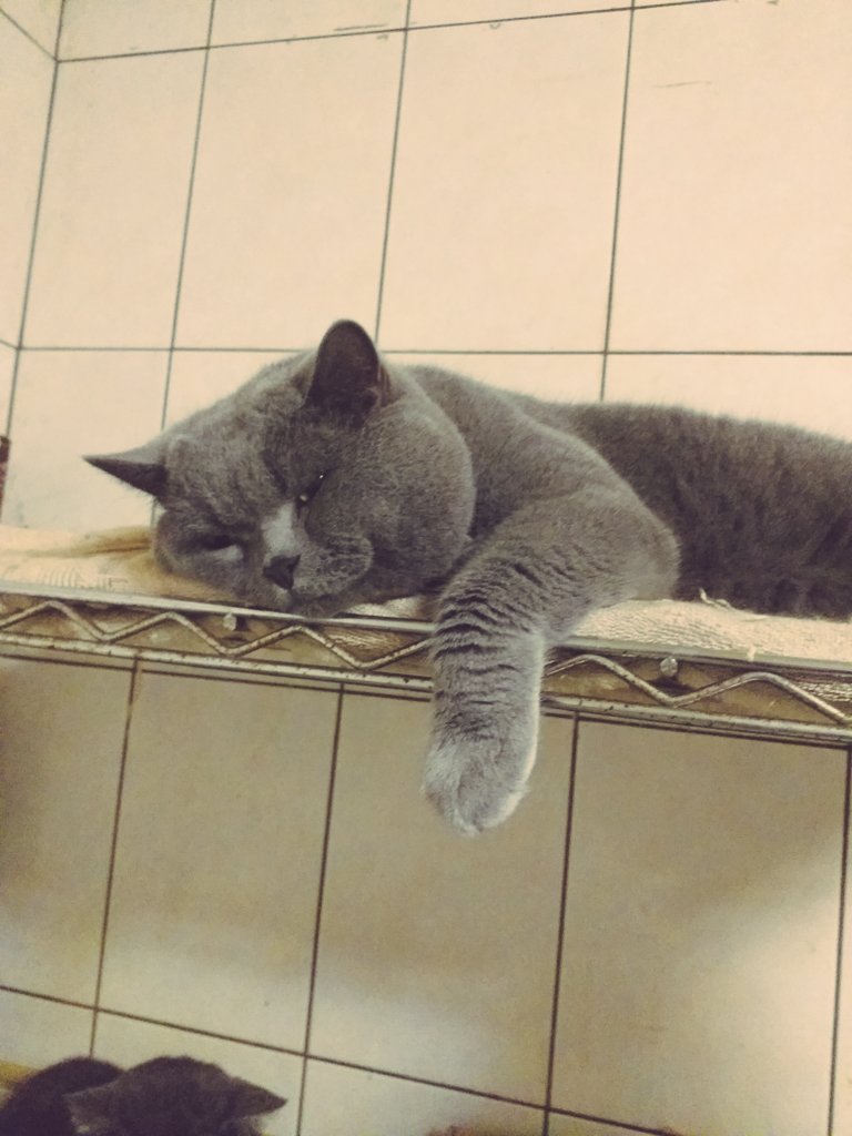 SKBRADAR's tweet photo. 怎麼有種不想上班的心情。 https://t.co/78nYkiWRRD