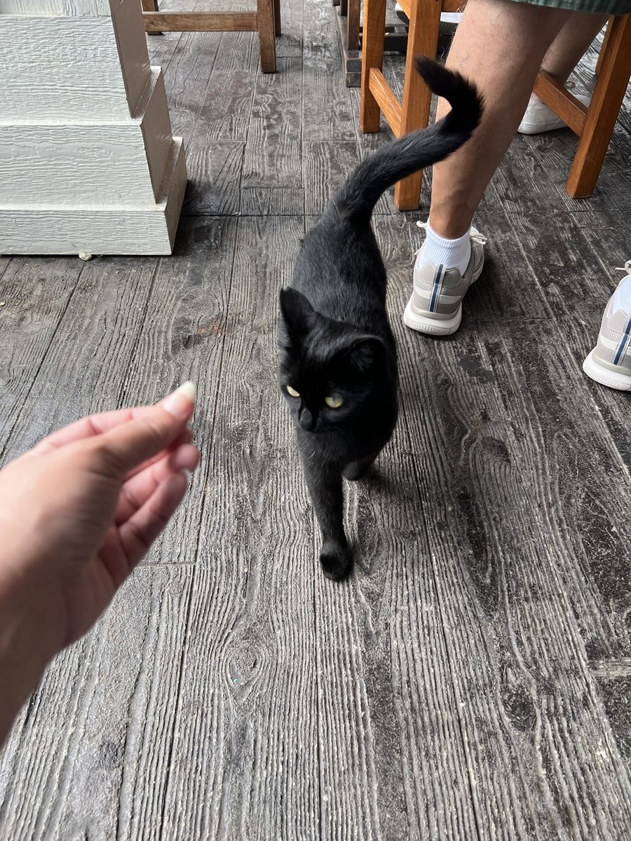 Jenny Lawson tweet media