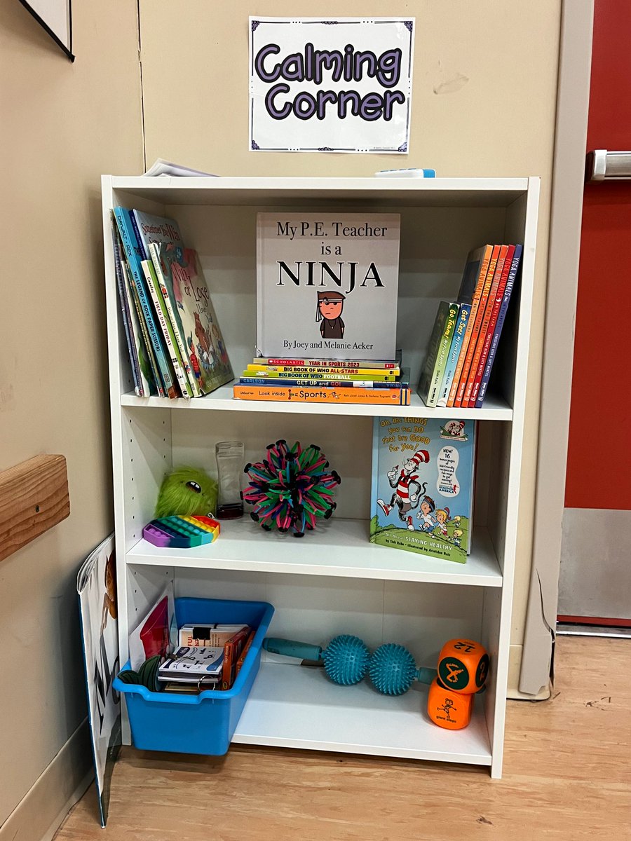 PeMissv's tweet photo. UPGRADED! New bookshelf for my little PE Library/Calming Corner! This serves as a great space for kids who need a reset or for any friends who may be injured and have to sit out! #centralcassND #SquirrelsES #physed https://t.co/LCVzDPLpLF