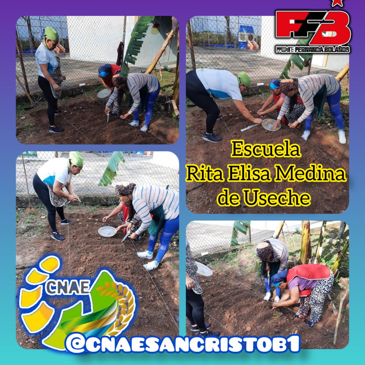 El PAE transforma vidas a través de las manos y el corazón, fomenta la educación del futuro, esa que abre nuestros ojos e incluye sin distinción
<a href="/NicolasMaduro/">Nicolás Maduro</a> <a href="/_LaAvanzadora/">Yelitze Santaella</a> <a href="/pedrodiazg59/">Pedro Diaz</a> <a href="/cnaeoficial/">cnaeoficial</a> <a href="/FontalvoCNAE/">Jesús Fontalvo</a>