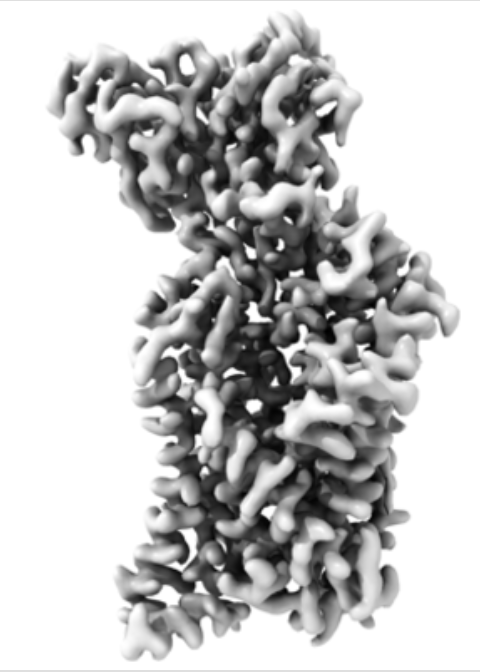 Hideaki E. Kato tweet media