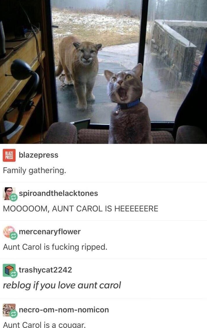 WholesomeMeme's tweet photo. https://t.co/oASaJoPk9r